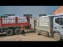 Chlorinated Polyethylene CPE 135A PVC Impact Modifier For PVC Pipes Bột trắng